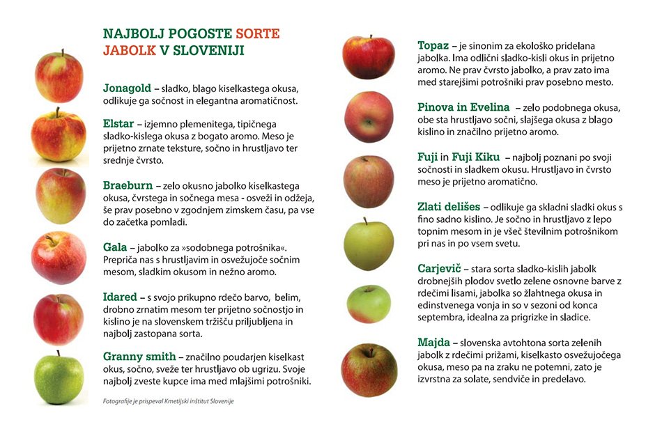 Najbolj pogoste sorte jabolk v Sloveniji