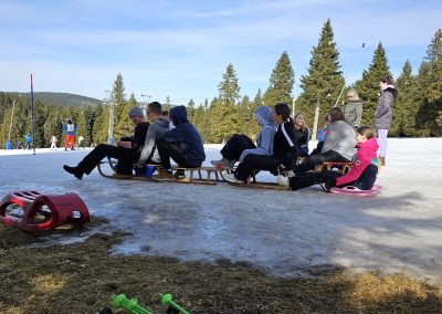 Sprehod med krošnjami in sankanje – zimski športni dan v 8. in 9. razredu